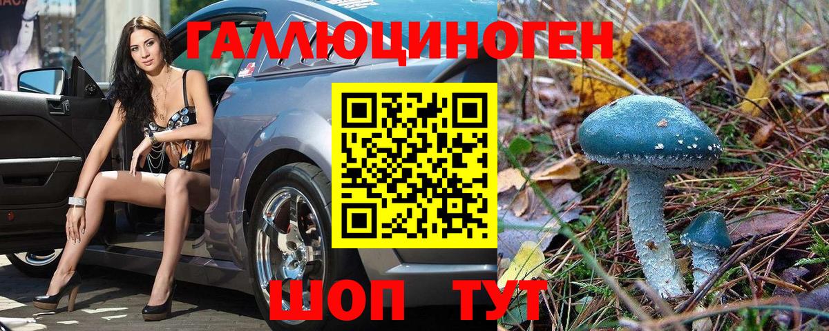 Псилоцибиновые грибы Psilocybe  Вход с VPN  Азнакаево 