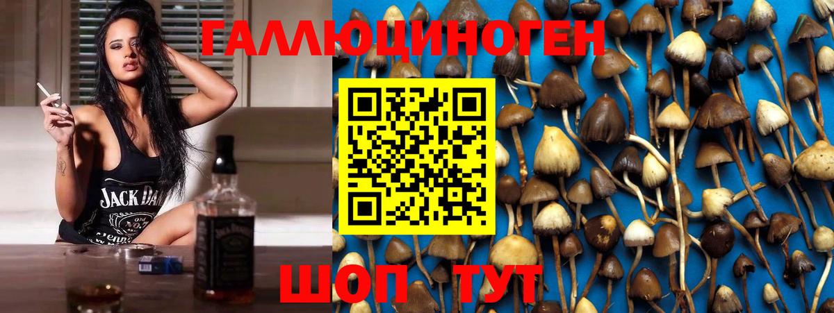 Псилоцибиновые грибы Magic Shrooms Азнакаево