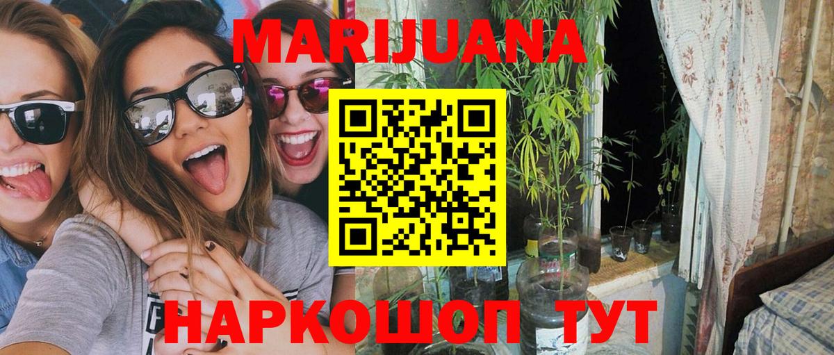 Азнакаево  Канабис планчик  Вход с VPN  Каннабис VHQ  Бошки марихуана план 
